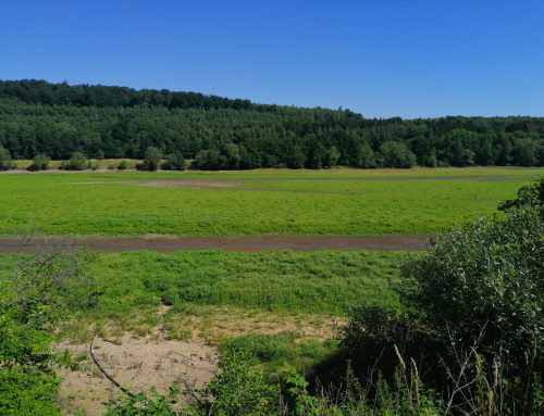 Radtour entlang der Kinzig von Schlüchtern nach Hause